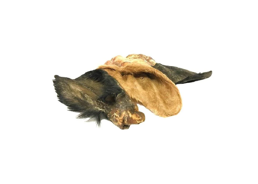 Cow Ear (hairy) large 2 pk