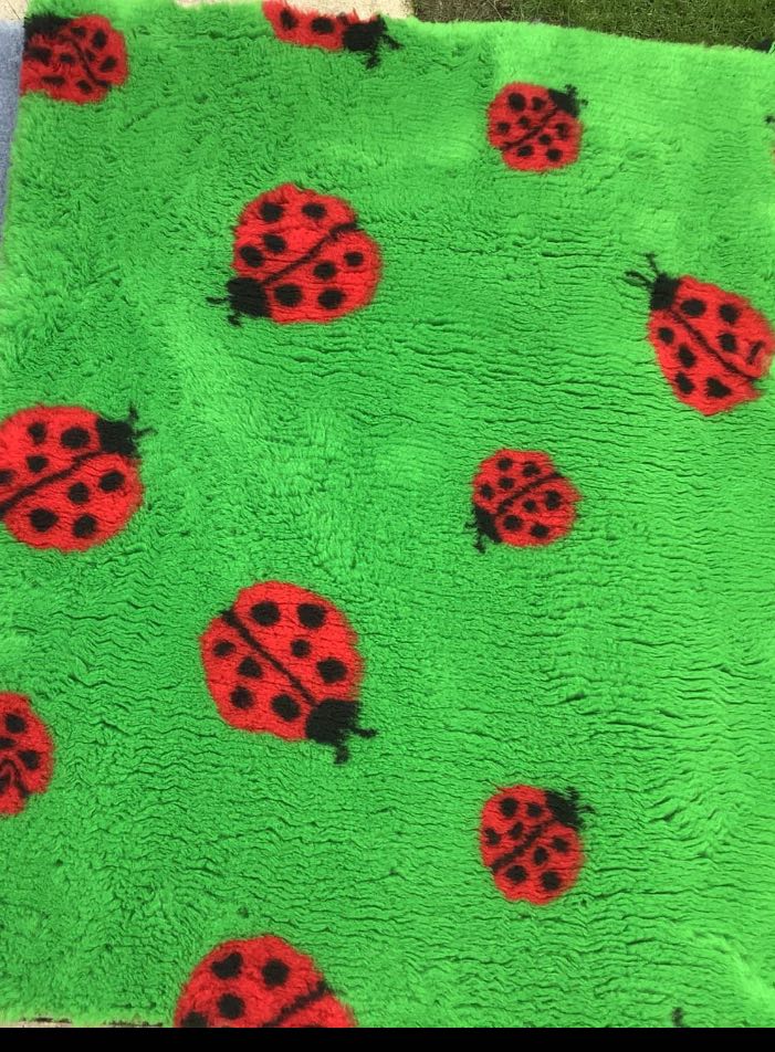 ladybird on green Vet Bedding 1mt x 1.5 Mtr