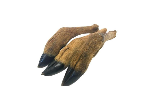 venison legs with fur 2 pk